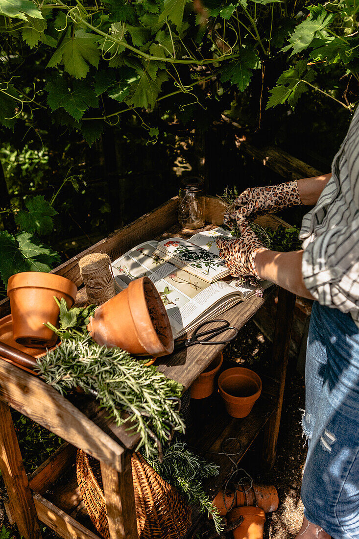 Plant table in the garden with terracotta pots and scissors