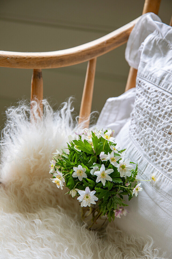 Bouquet of wood anemones (Anemone nemorosa) on a chair with fur