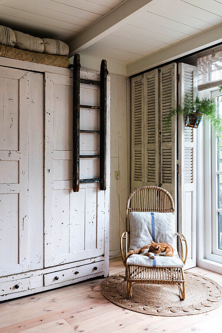 Rattan armchair with cushion and cat next to antique wooden cabinet, shabby chic