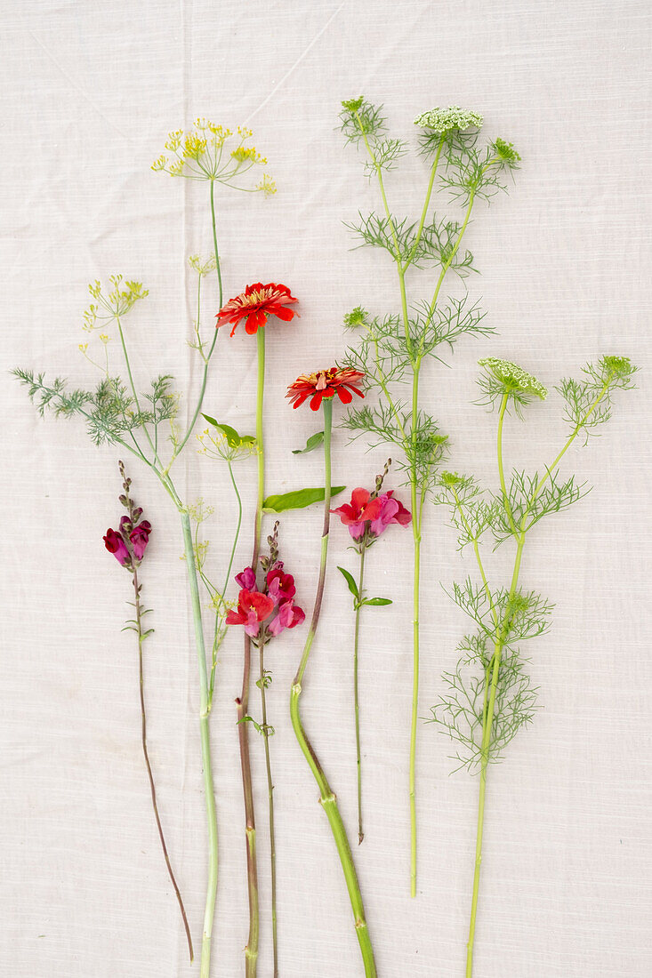 Verschiedene Sommerblumen auf heller Leinentischdecke arrangiert