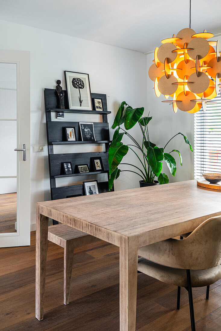 Dining room with wooden table, striking ceiling light and large plant