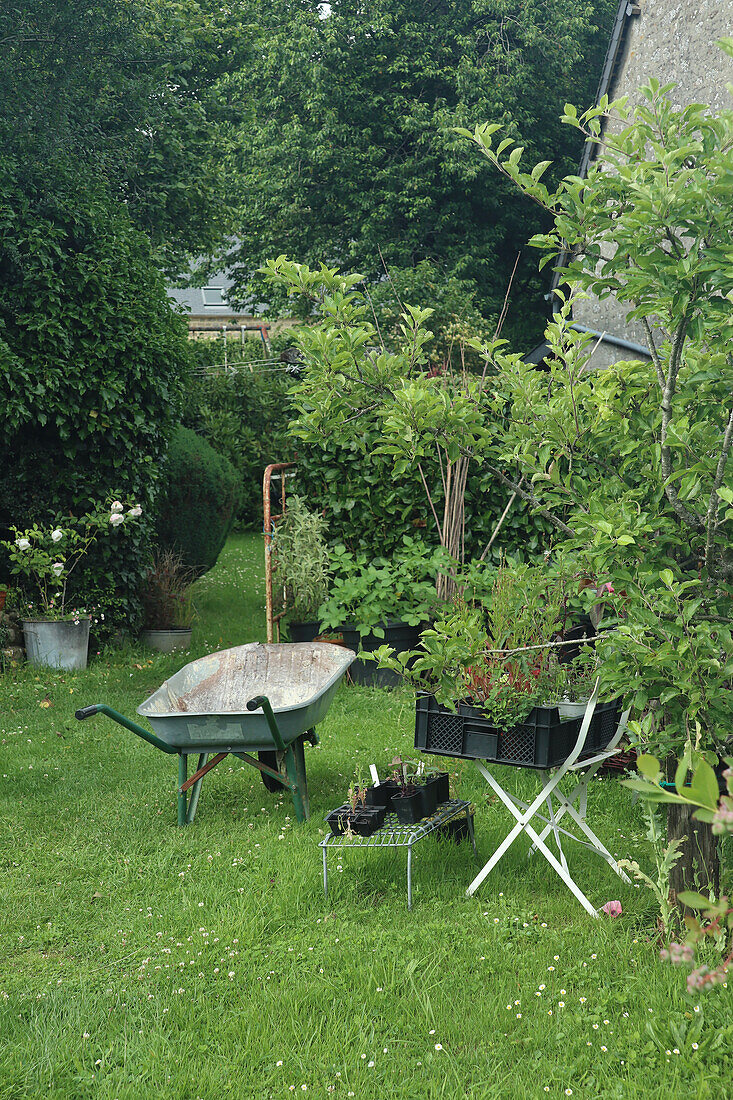 Gartenbereich mit Schubkarre und Pflanzen