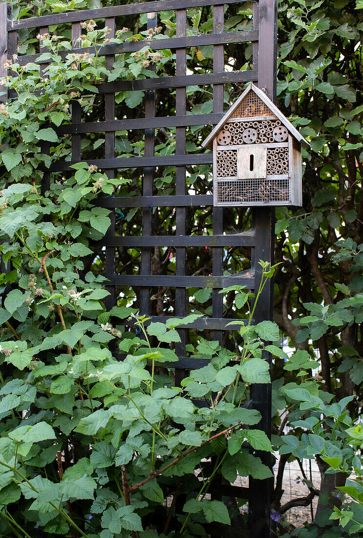 Insektenhotel an Holzspalier im dichten Gartenlaub