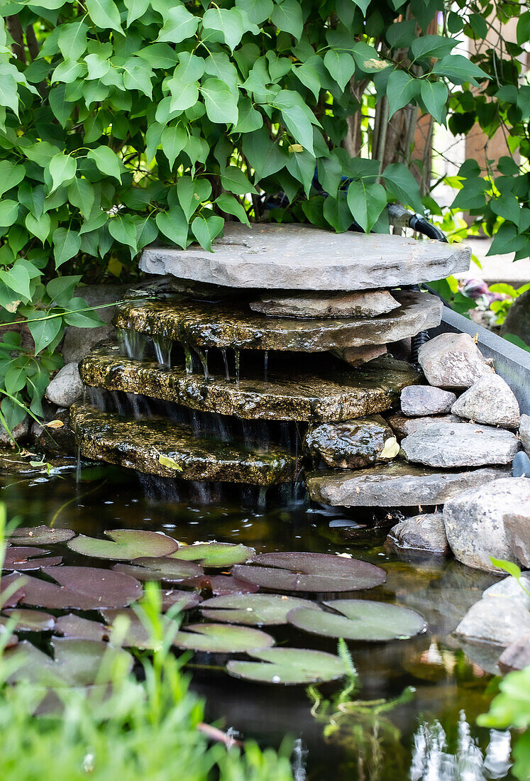 Small garden waterfall with water lilies and natural stones