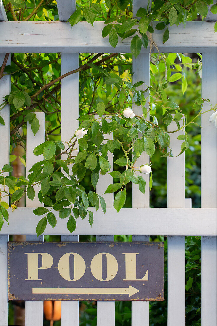 Weißer Holzzaun mit Rosen und Schild mit der Aufschrift "Pool"