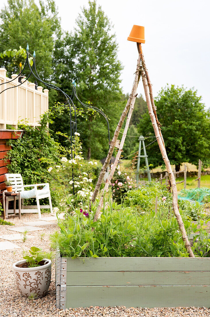 Raised bed in the garden with climbing support made of branches and flower pot