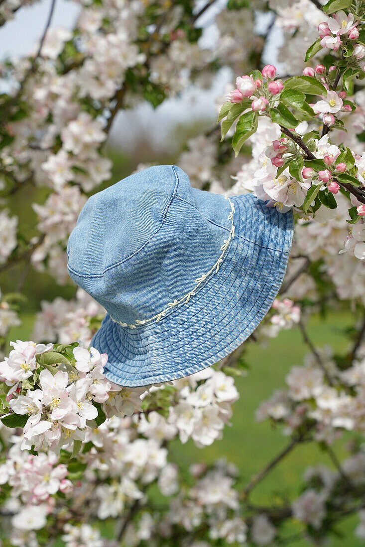 Blossoming apple tree and blue sun hat with embroidery in spring