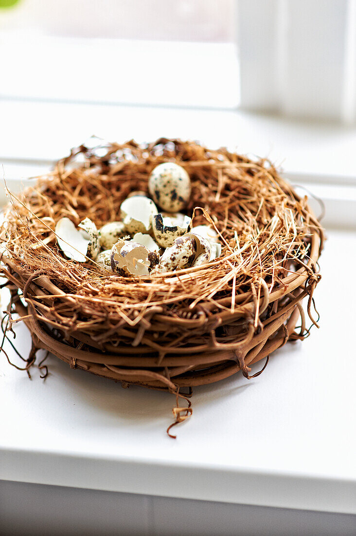 Decorative bird's nest with quail eggs on windowsill