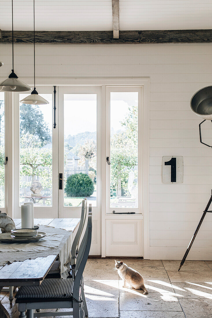 Cat sits in front of window in light-coloured dining room