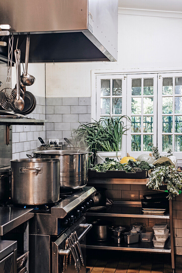 Professional kitchen with stainless steel pots and fresh autumn vegetables