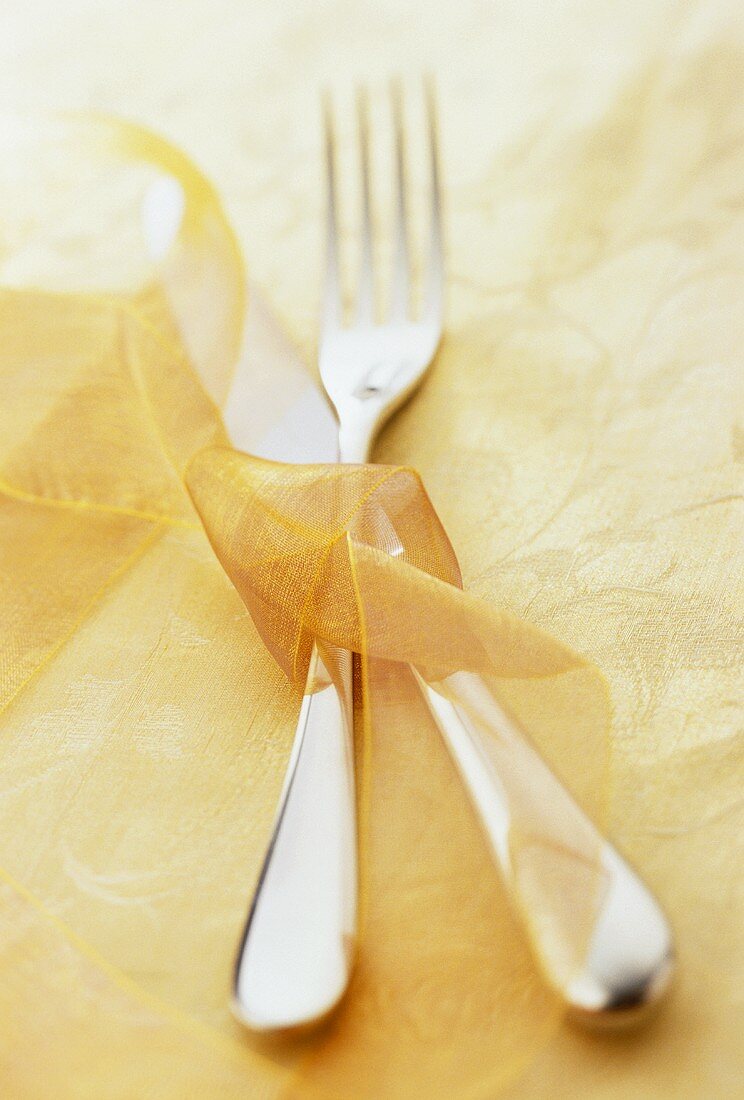 Knife and fork decoratively tied with ribbon