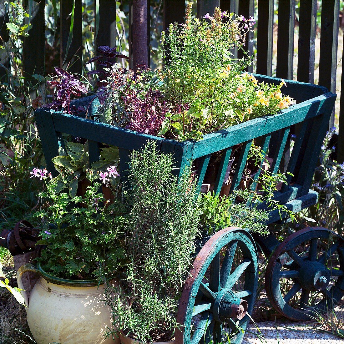 Fresh herb pots decoratively arranged in a wooden wheelbarrow