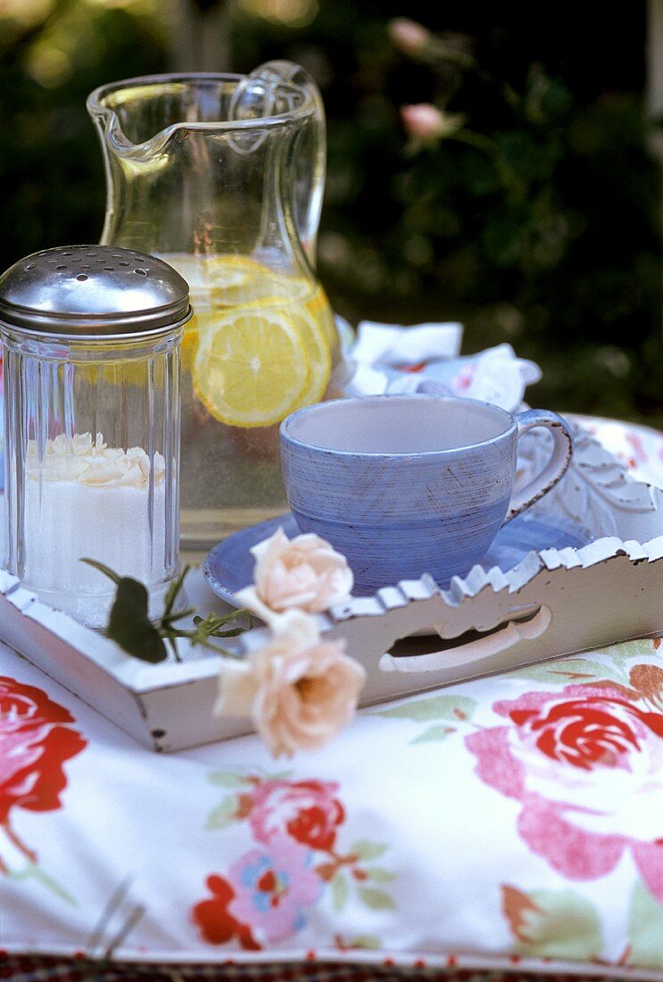 Tray with cup and lemonade on a cushion in the open air