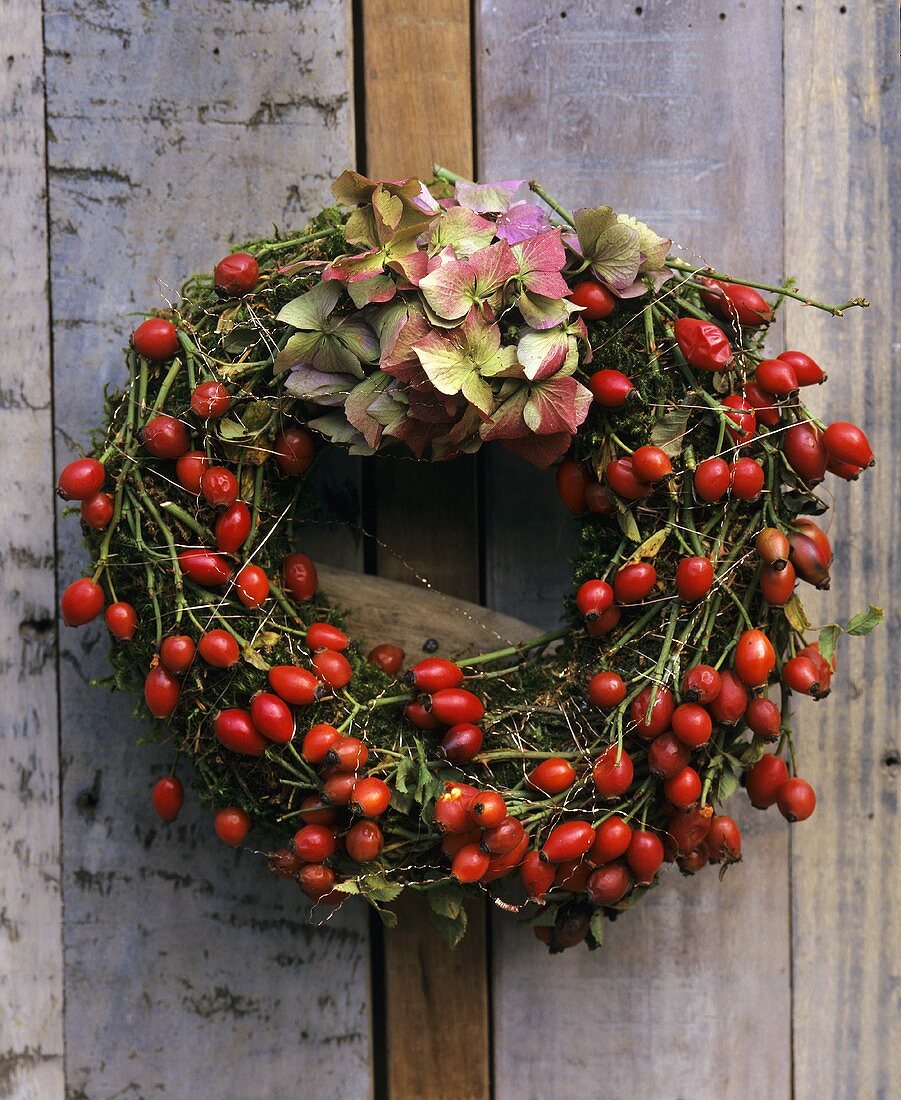 Wreath of rose hips with hydrangea
