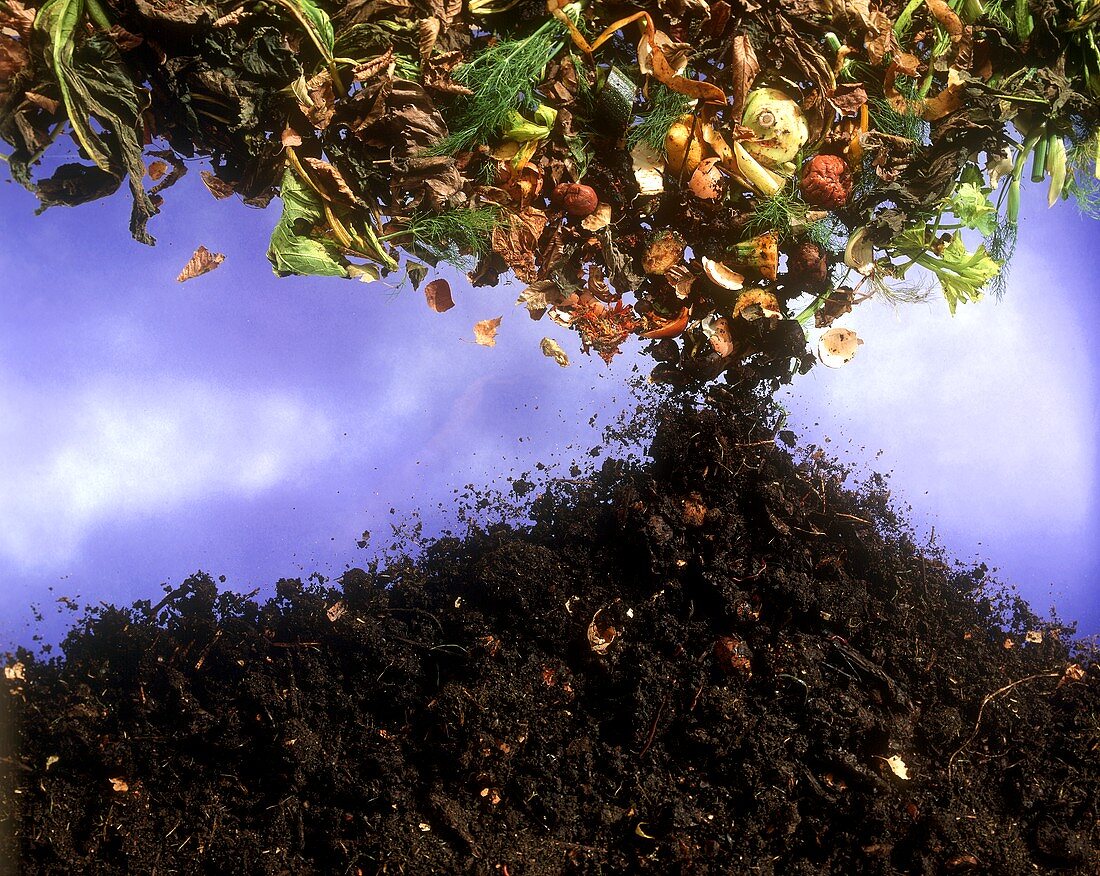 Leaves & vegetable waste falling on soil, symbolising compost
