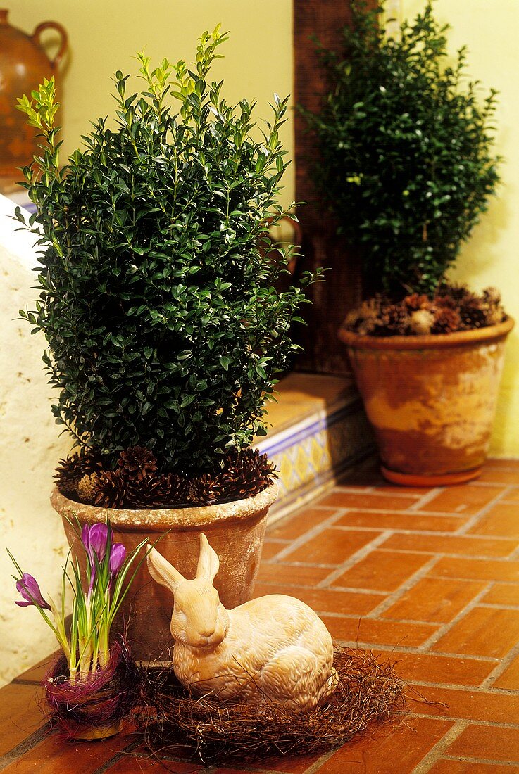 Easter decoration: terracotta Easter bunny at house entrance