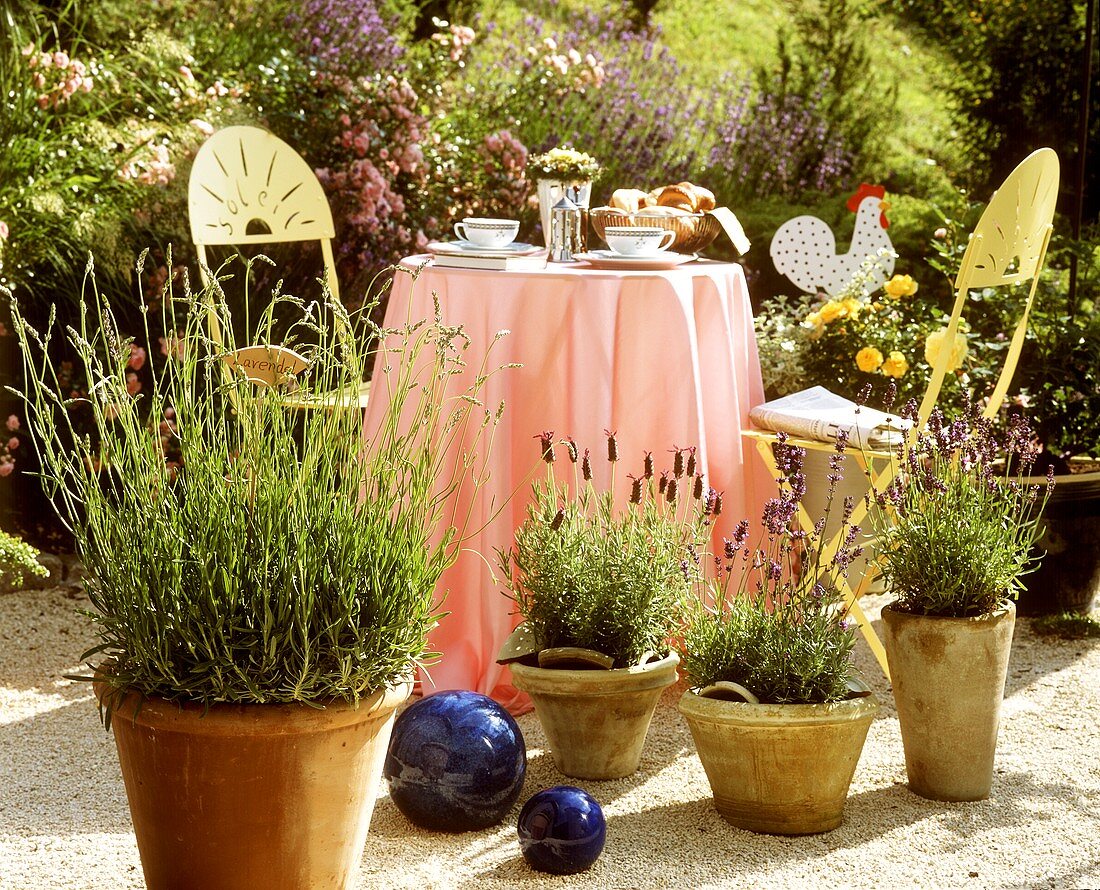 Lavendel in Töpfen vor einem Gartentisch mit Stühlen