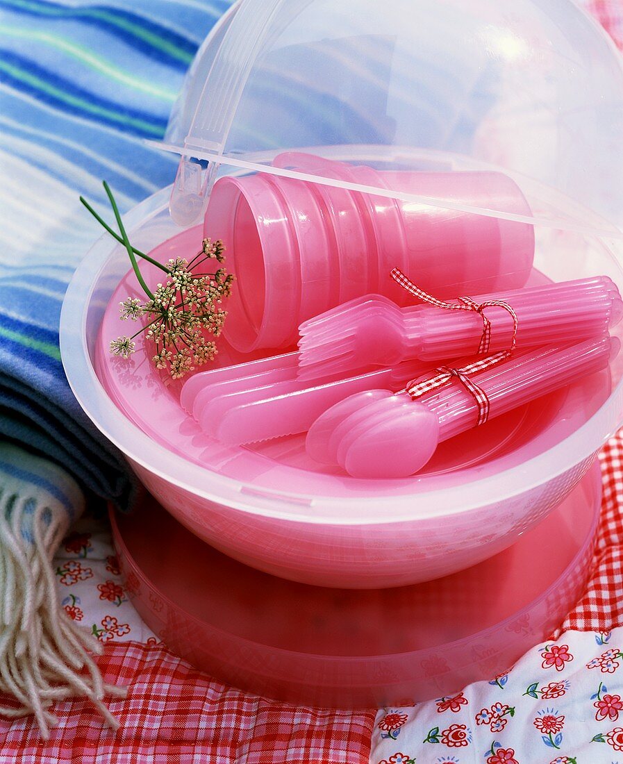 Rosa Picknickgeschirr aus Plastik