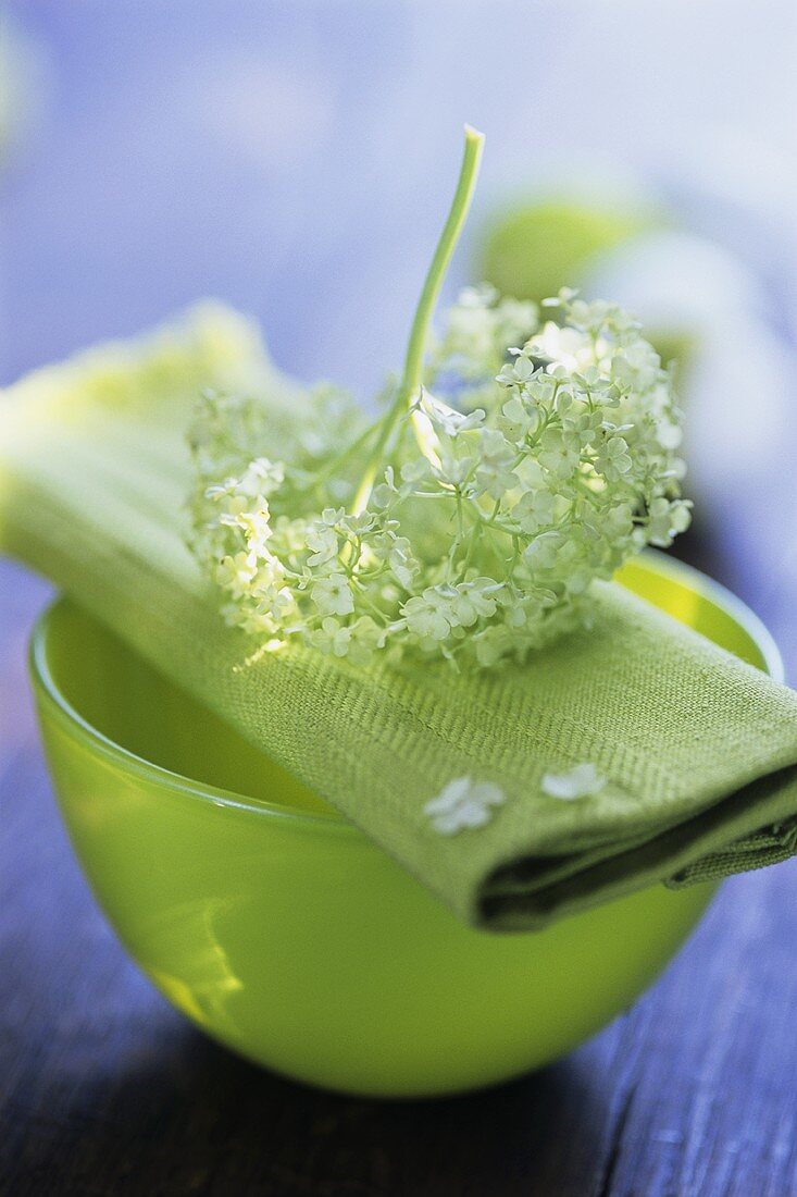 Grüne Schale mit Stoffserviette und Viburnum-Blüte