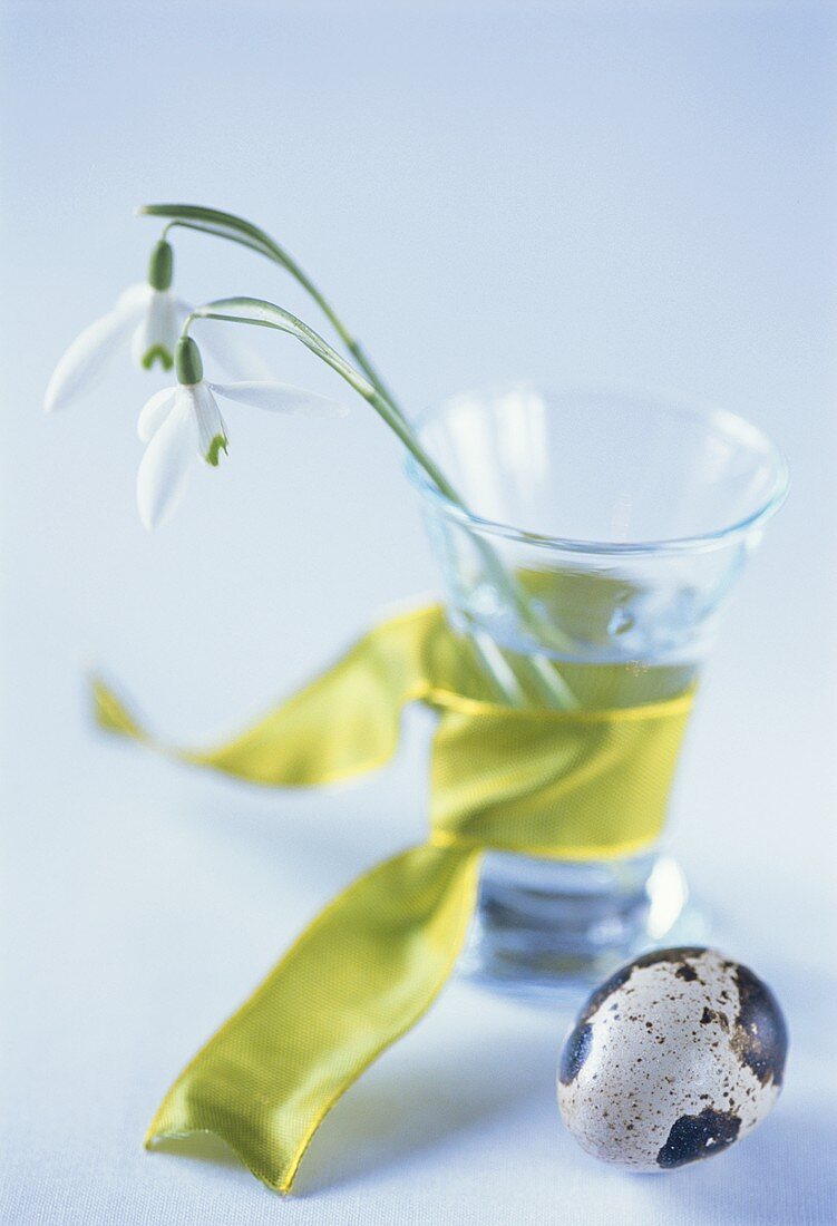 Glas mit grüner Schleife und Schneeglöckchen, davor Wachtelei