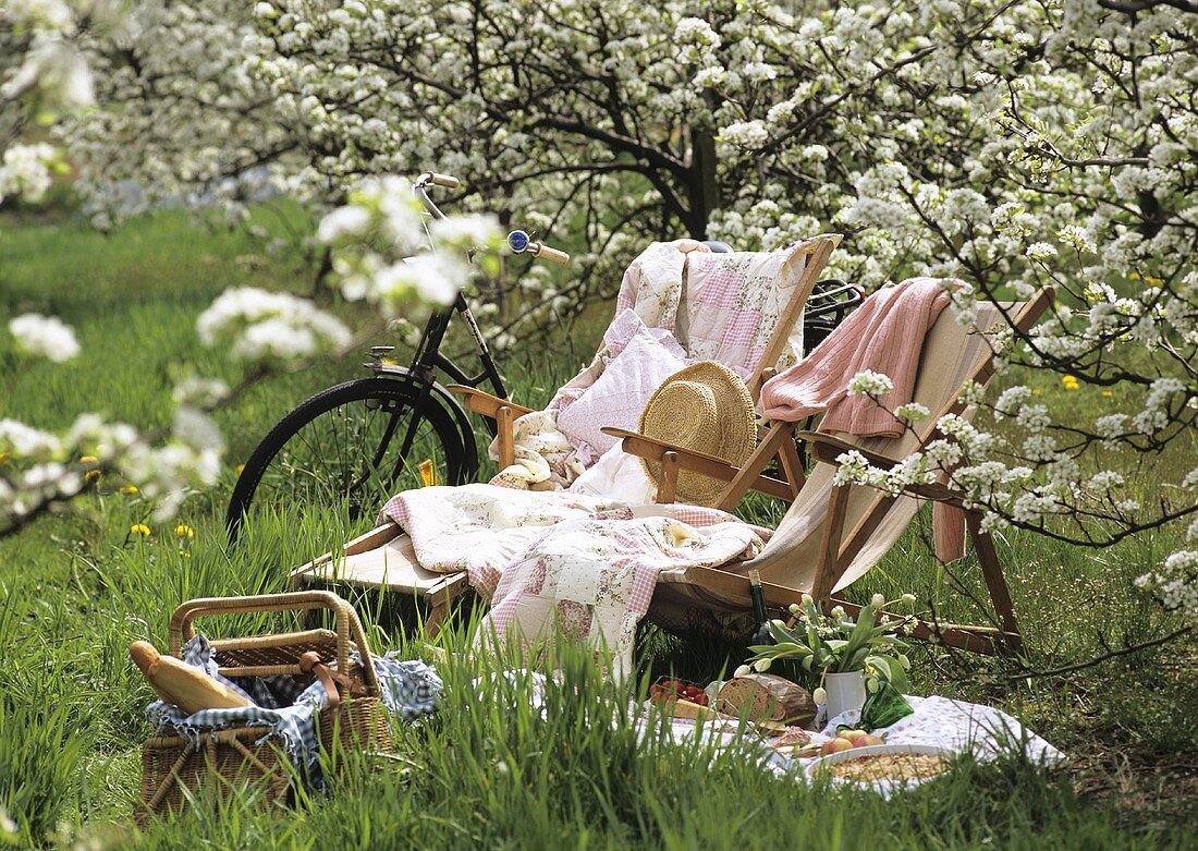 Picknick mit Liegestühlen unter blühendem Obstbaum