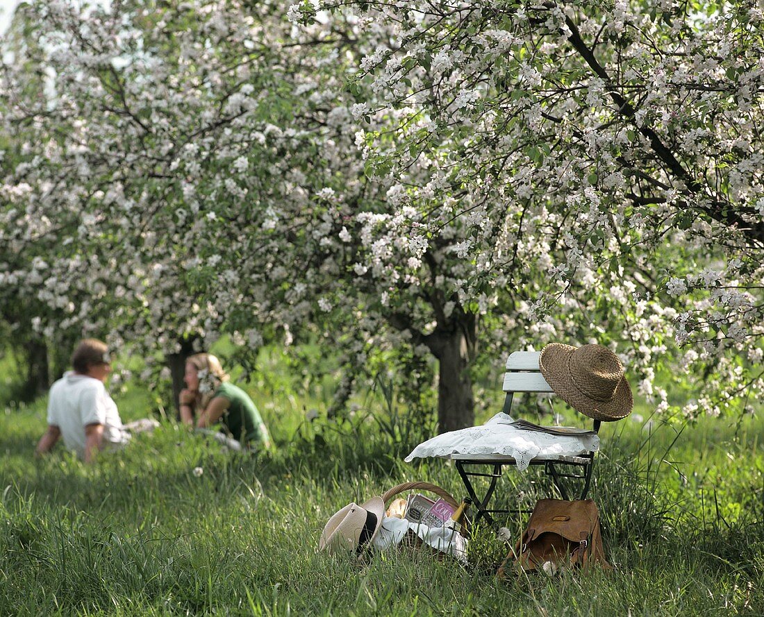 Young couple and chair under flowering apple tree