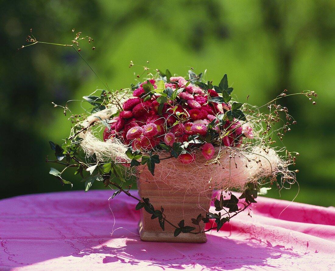 Tischgesteck aus rosa Bellis (Gänseblümchen) und Efeuranken