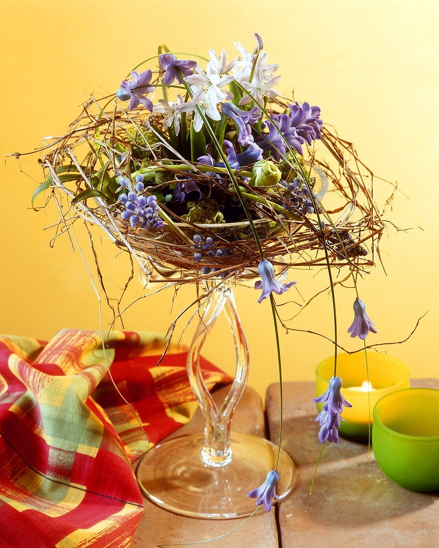 Witty arrangement of hyacinths