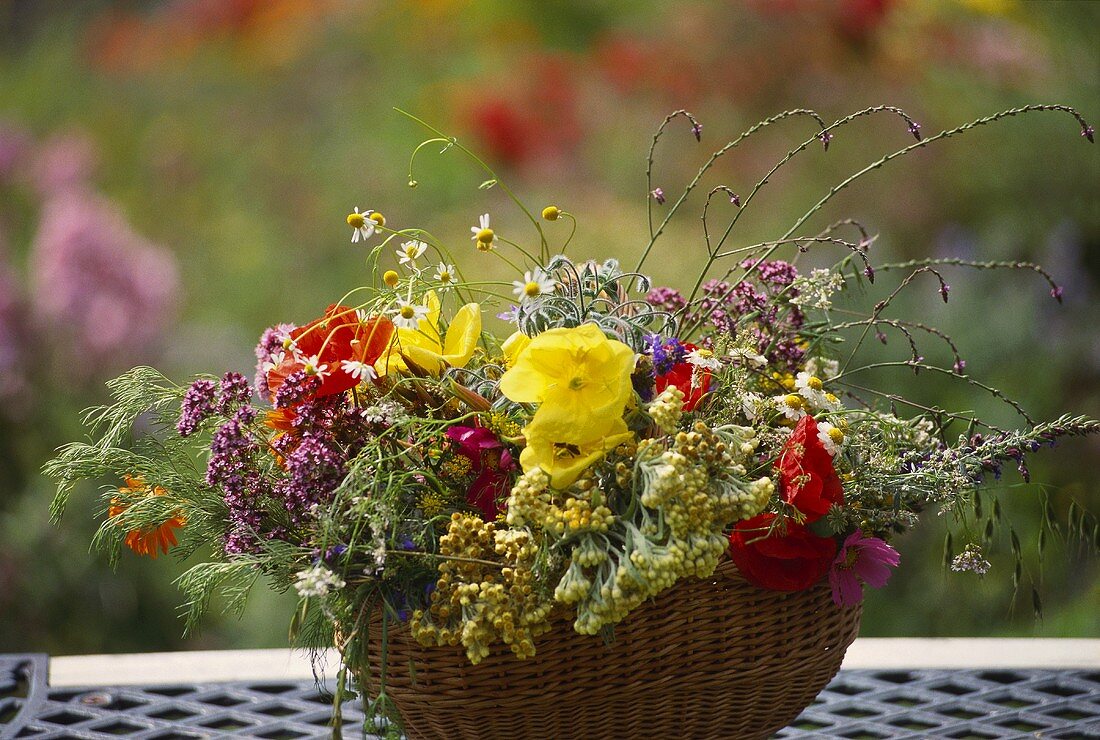 Blumenkorb mit bunten Sommerblumen, Cosmea, Mohnblumen etc.