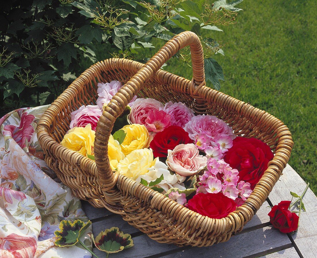 Various coloured roses in wicker basket