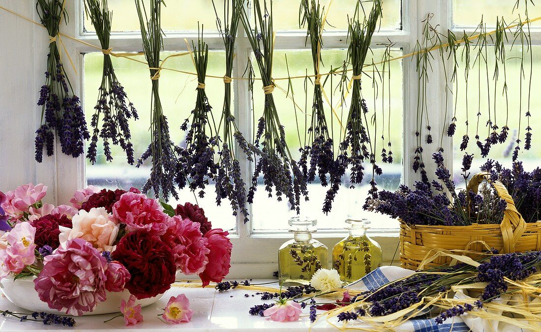 Bunches of lavender for drying, roses, phials of aromatic oil