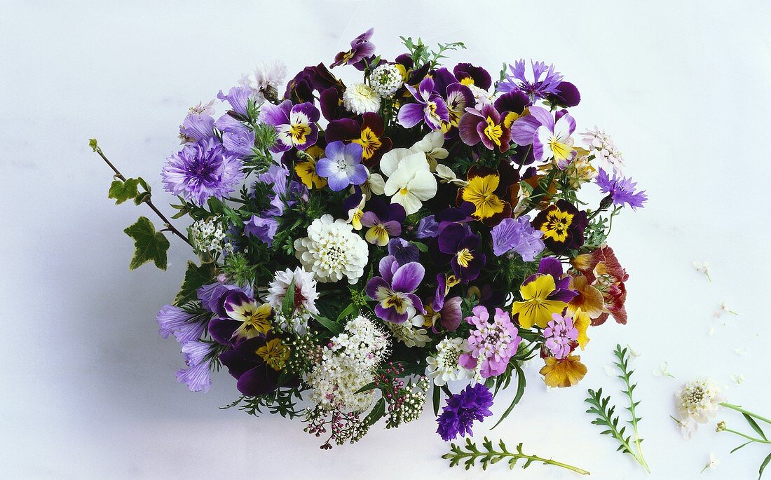 Bouquet of horned violet, viper's bugloss, cornflower etc.