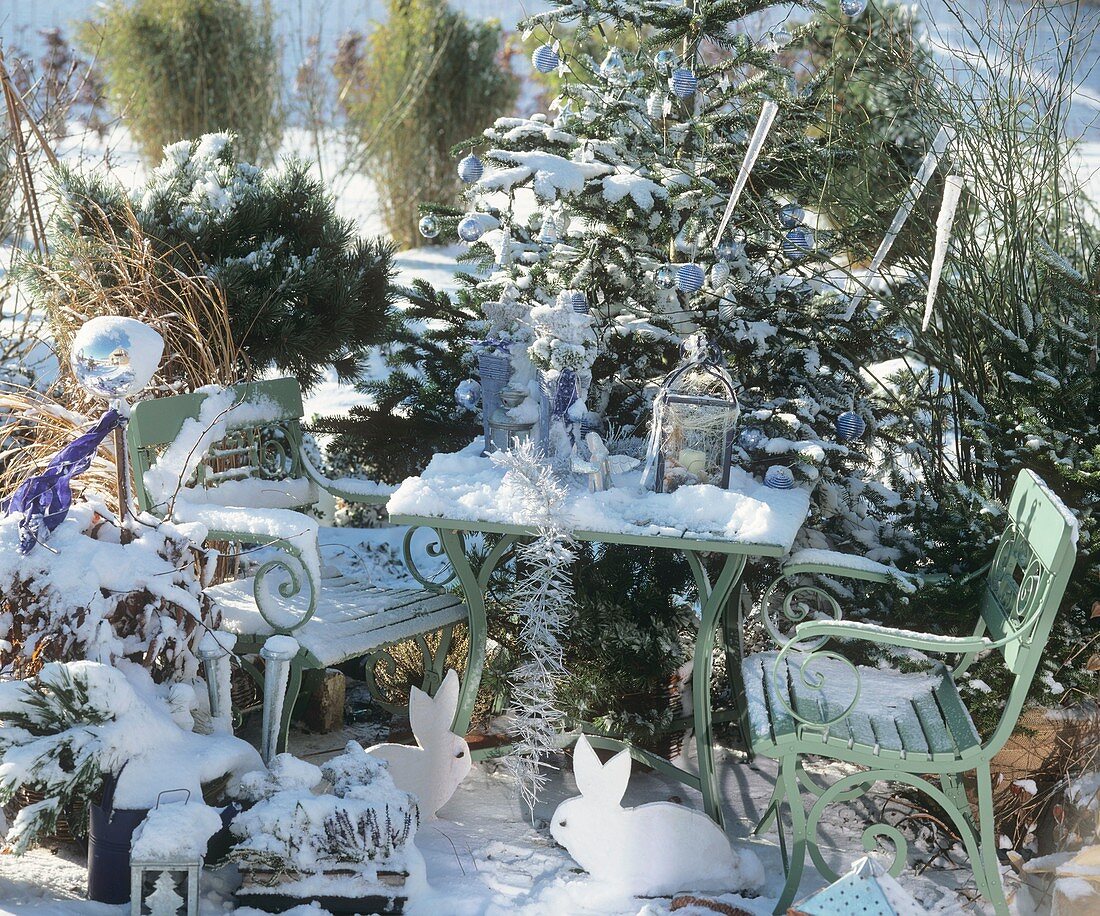 Garden furniture and fir tree, covered in snow