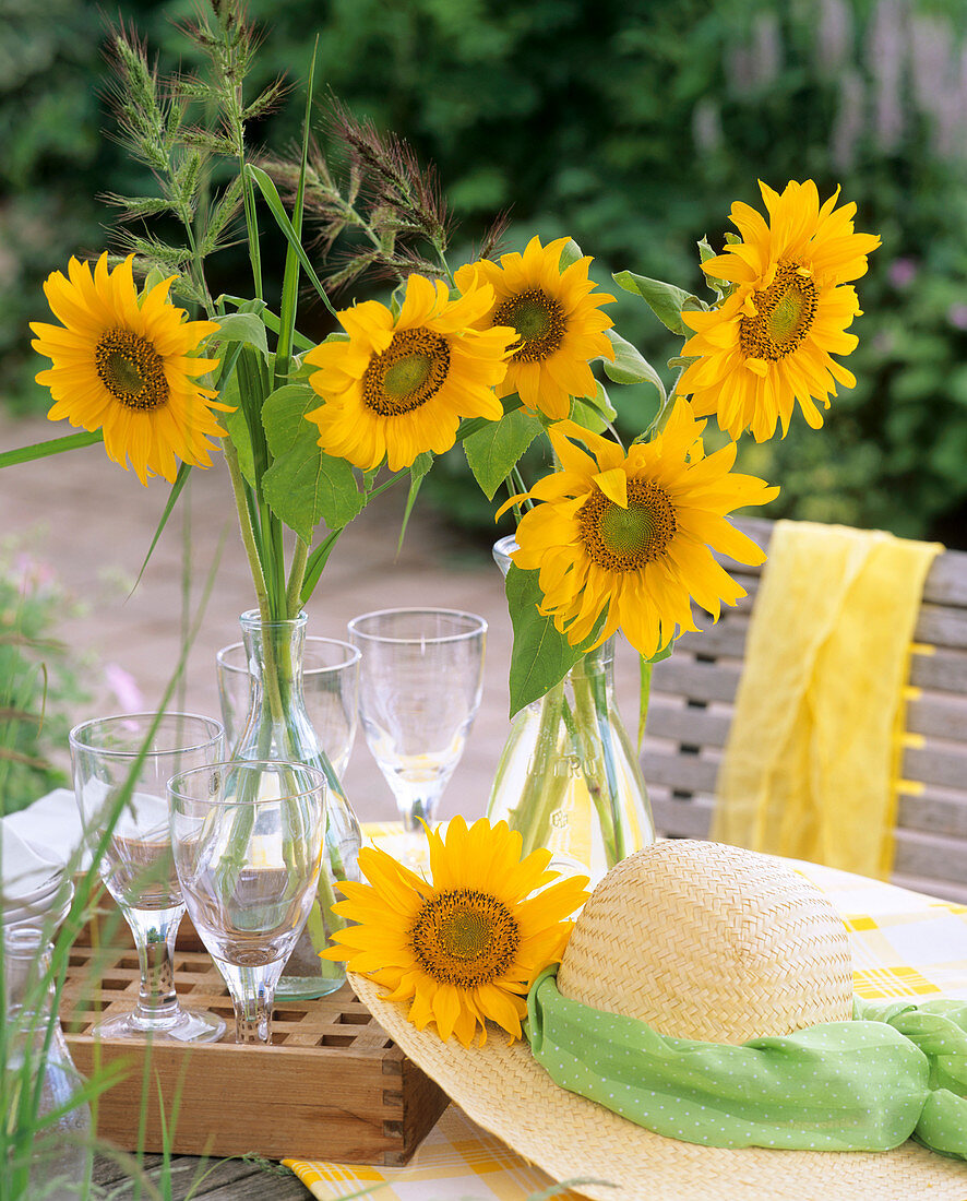 Sonnenblumen und Hühnerhirse in Glasflaschen