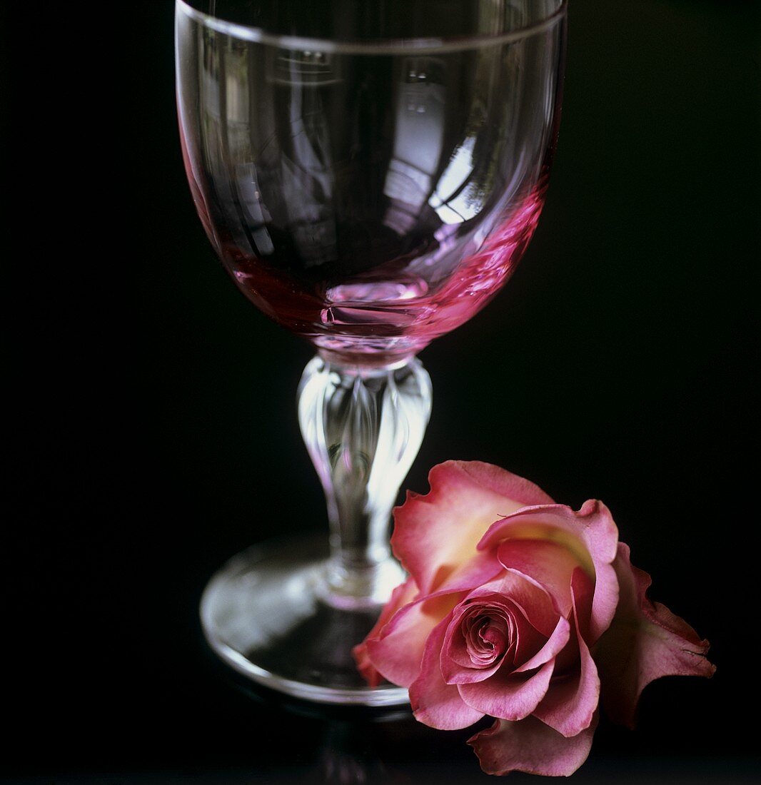 Weinglas mit einer Rose