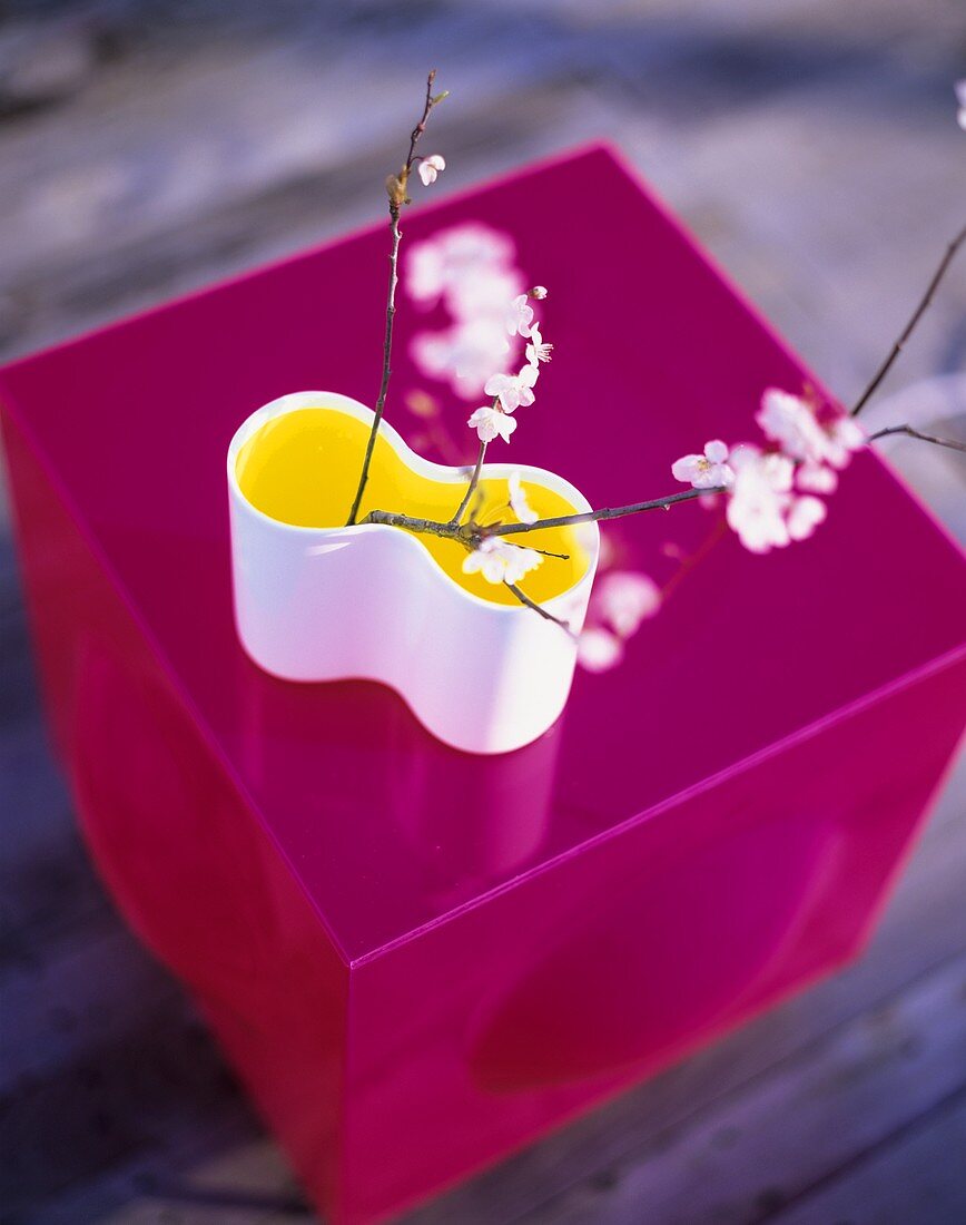 Kirschblüten in einer Vase auf pinkem Würfel stehend