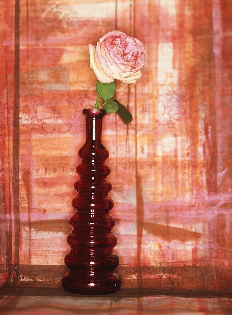 A rose in a red glass vase