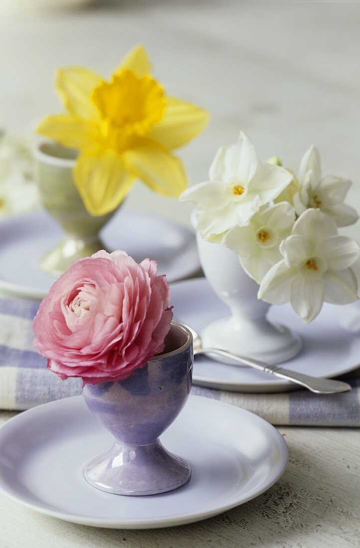 A rose, yellow and white narcissi in eggcups