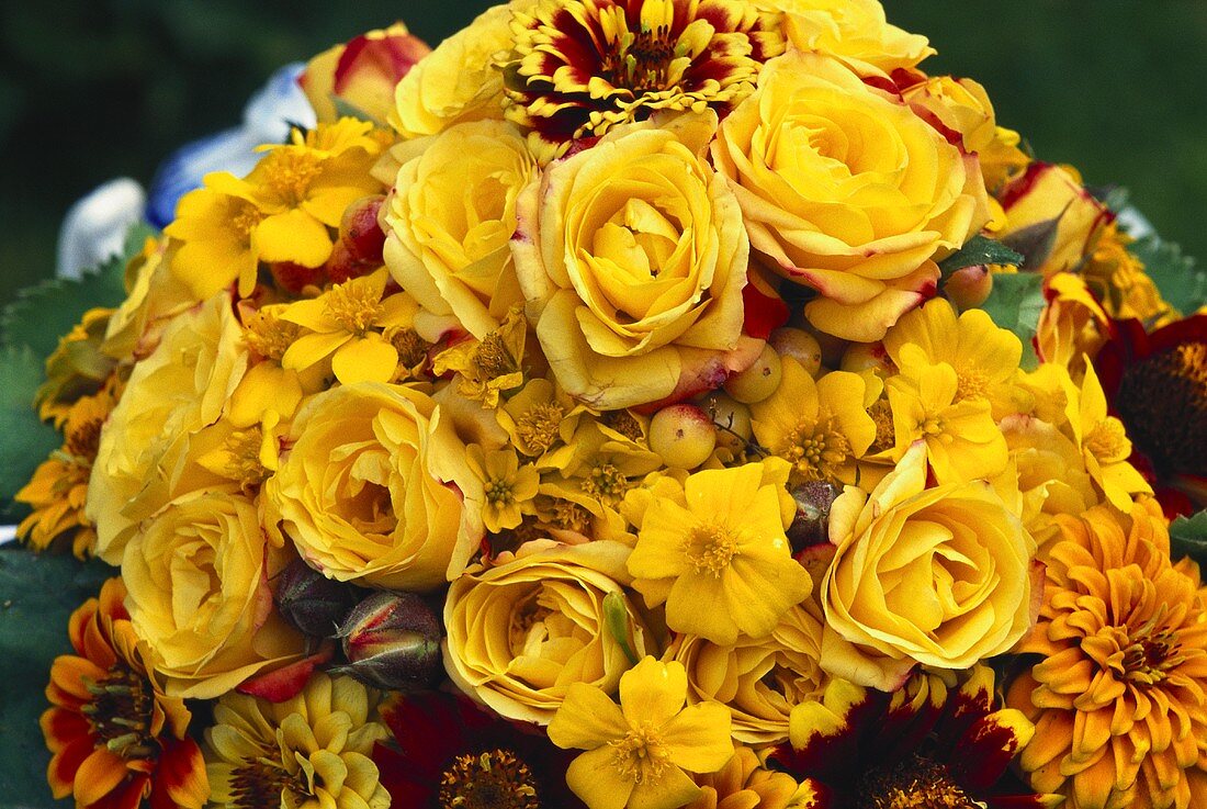 Biedermeierstrauss mit gelben Rosen, Mädchenauge, Gaillardia