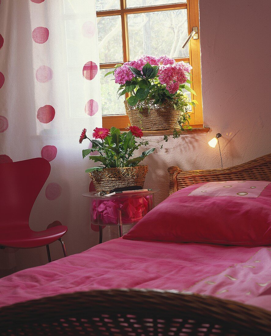 Comfortable bedroom with potted gerbera and hydrangea