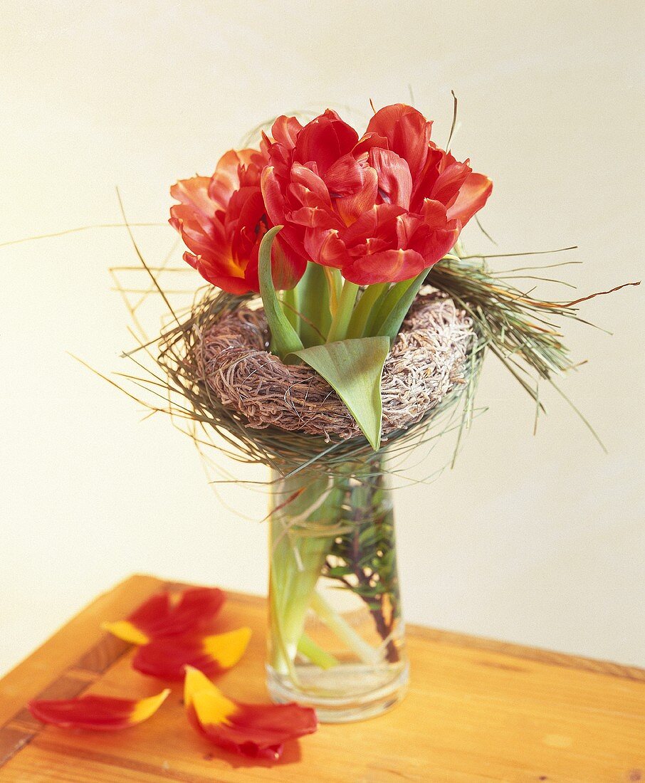 Red tulips in 'nest' in a glass vase