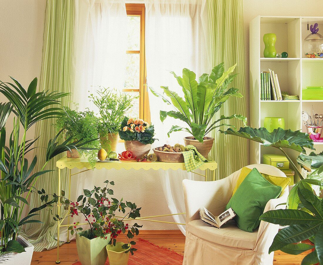 Zimmer im Landhausstil mit verschiedenen Grünpflanzen vor dem Fenster