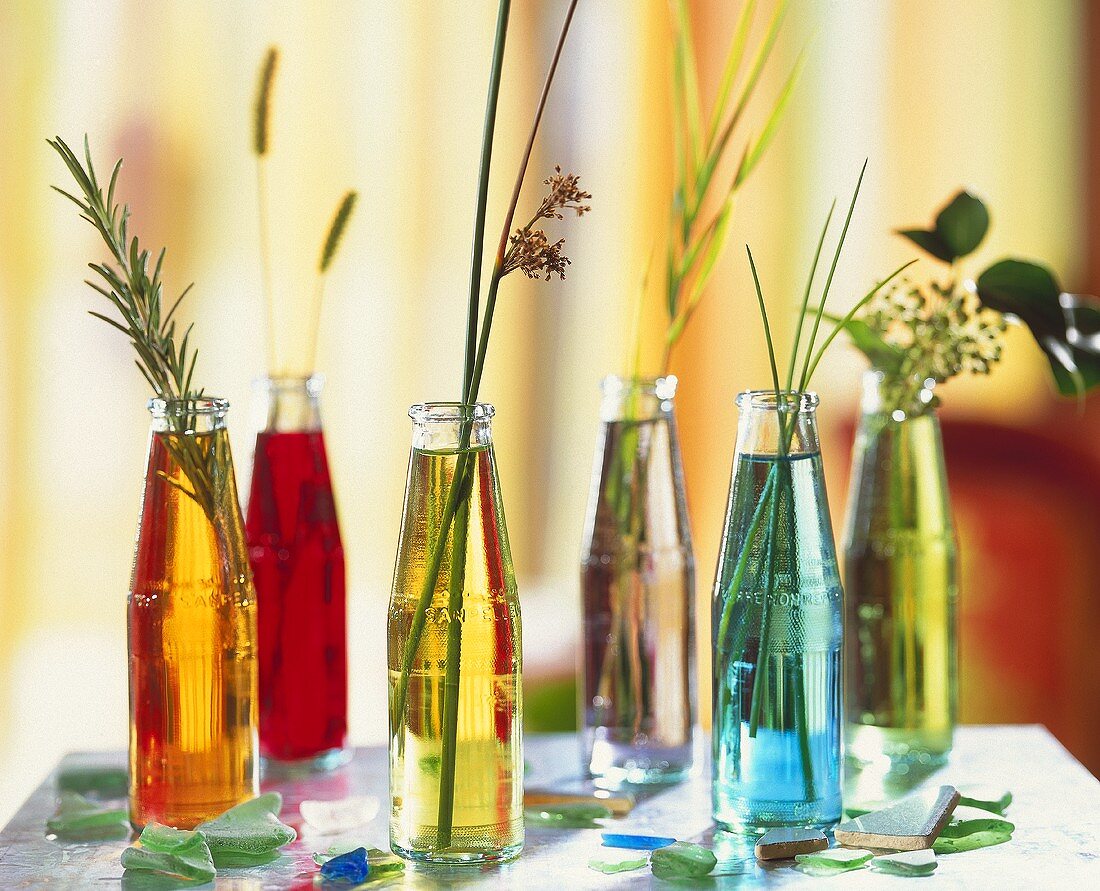 Einzelne Gräser in Glasflaschen mit gefärbtem Wasser