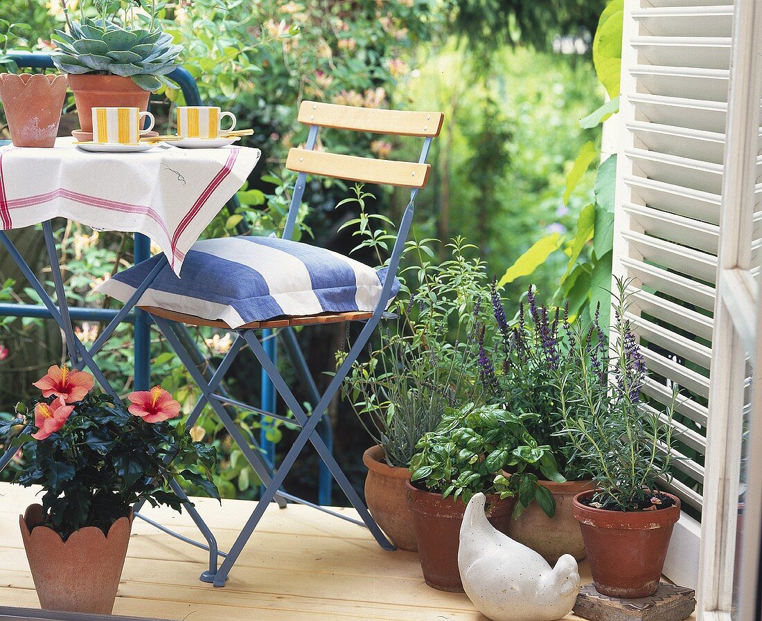 Terrasse mit Gartenmöbeln und Kräutertöpfen