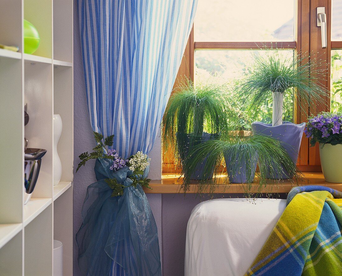 Flower-trimmed blue curtain and potted house plants on windowsill