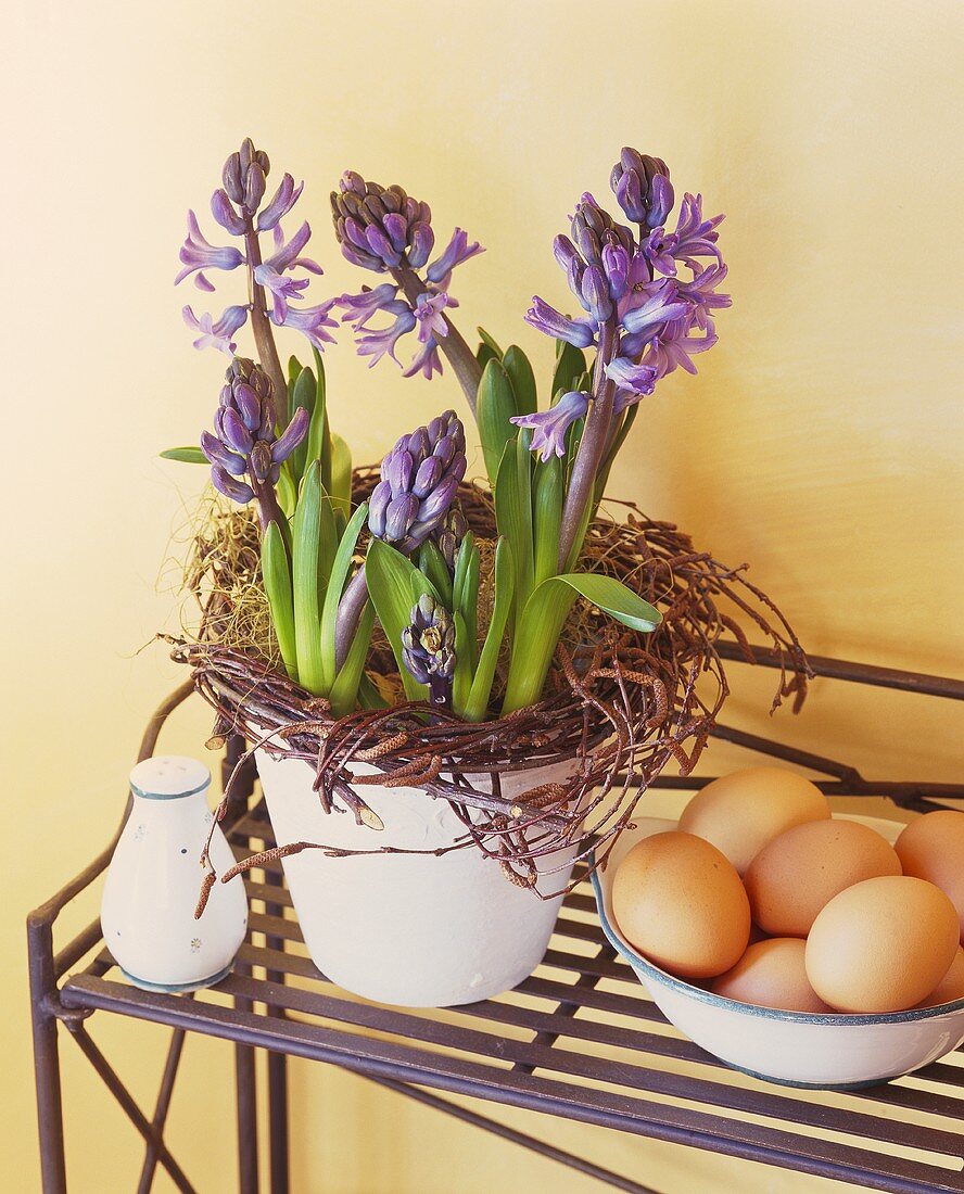Heralds of spring: blue hyacinths beside a bowl of eggs