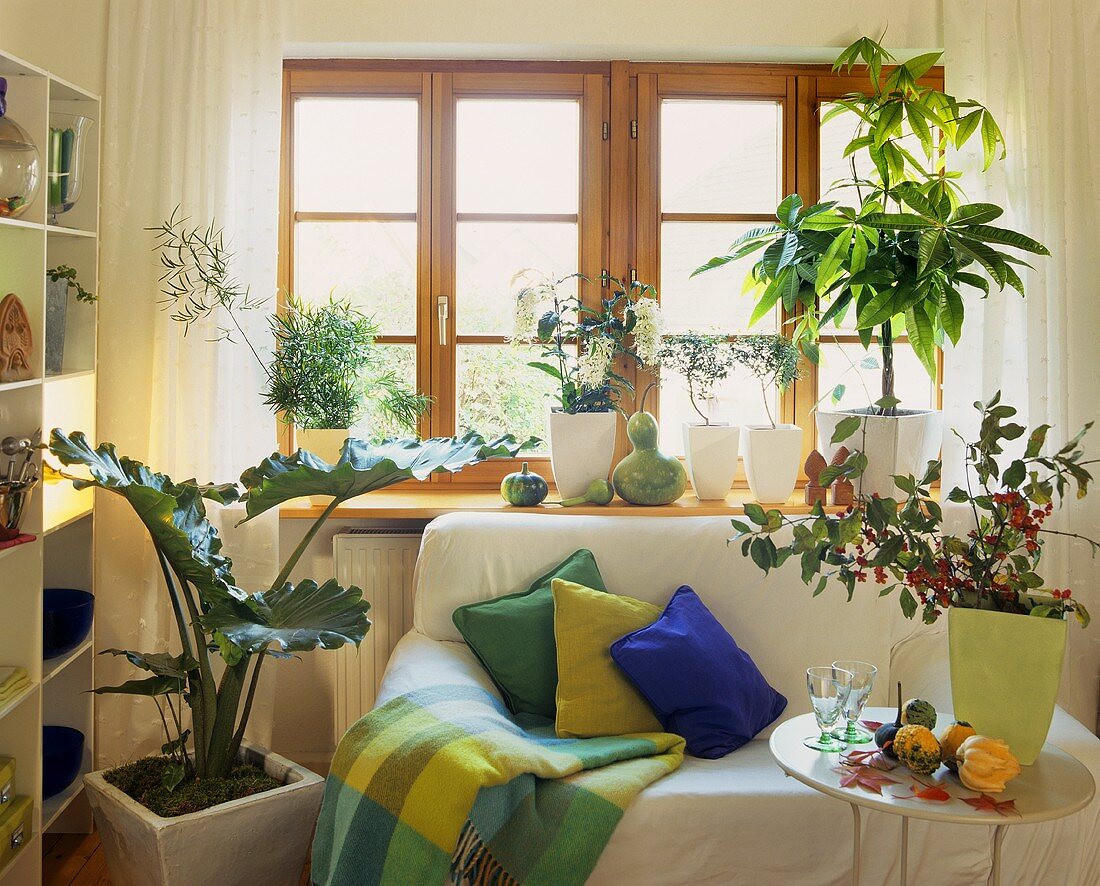 Mit Zierkürbissen, Grünpflanzen und Pfaffenhütchenzweigen dekorierte Sitzecke