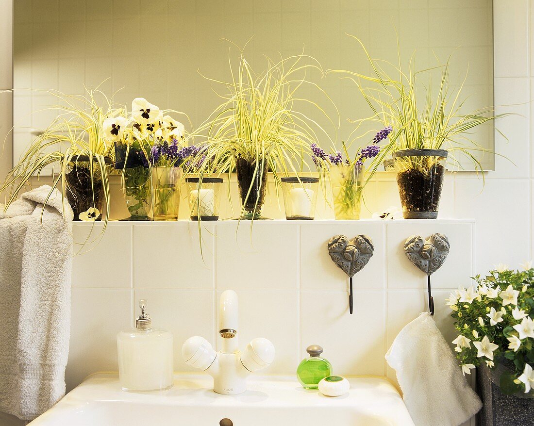 Bathroom decorated with pansies, grape hyacinths...