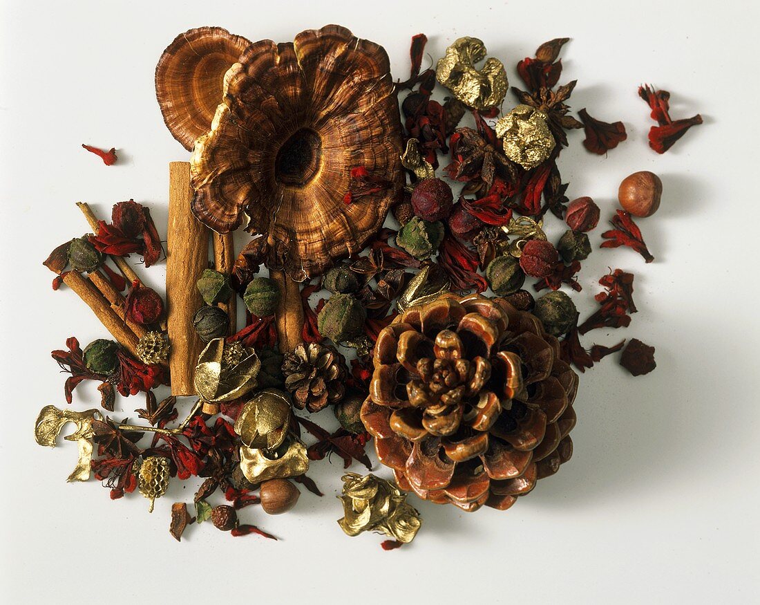 Pot-pourri with forest fruits, dried flowers, cinnamon