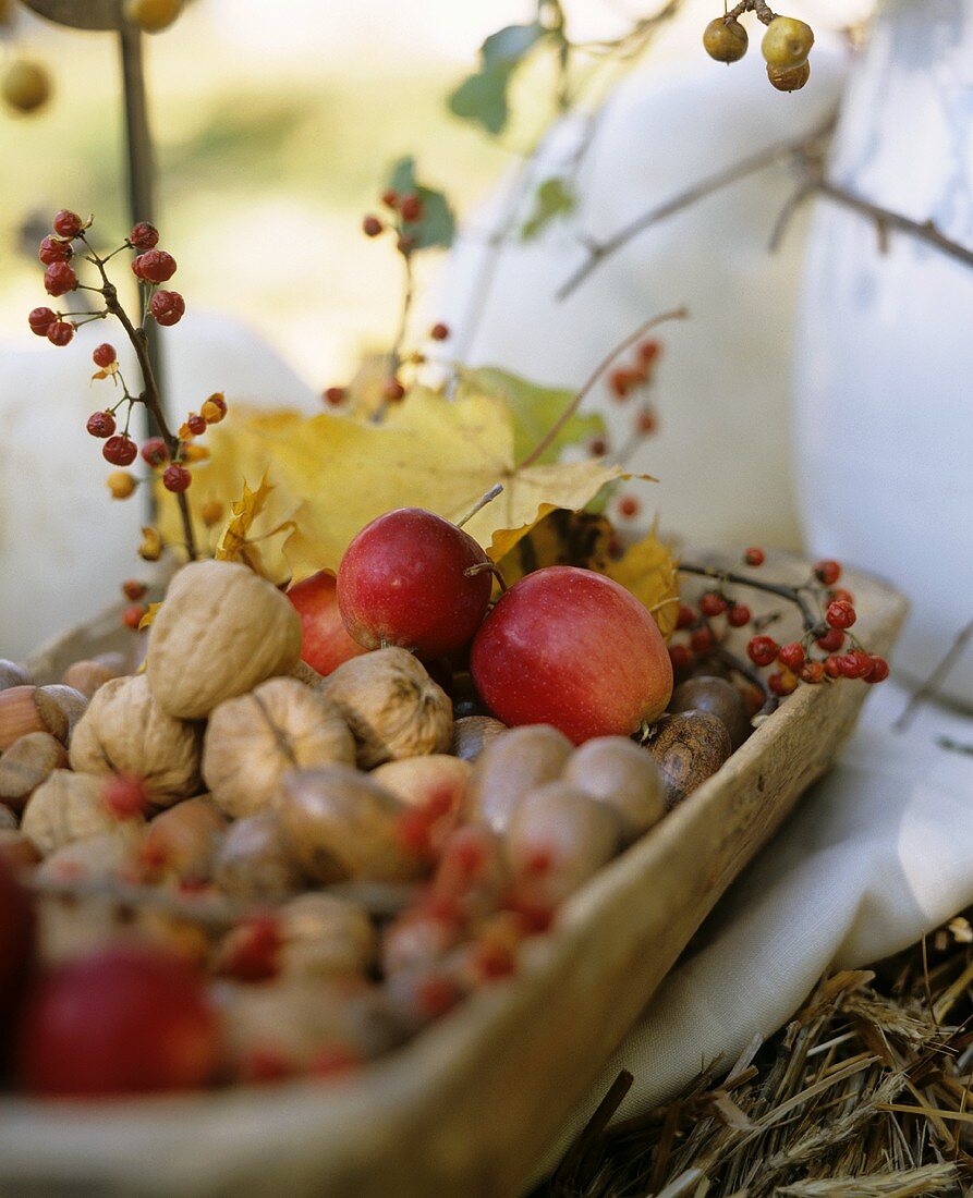 Herbstliche Tischdeko mit Äpfeln & Nüssen in flacher Schale